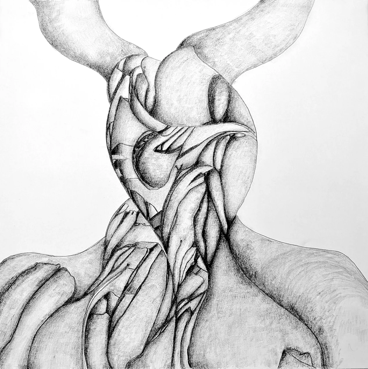 Disegno organico a grafite