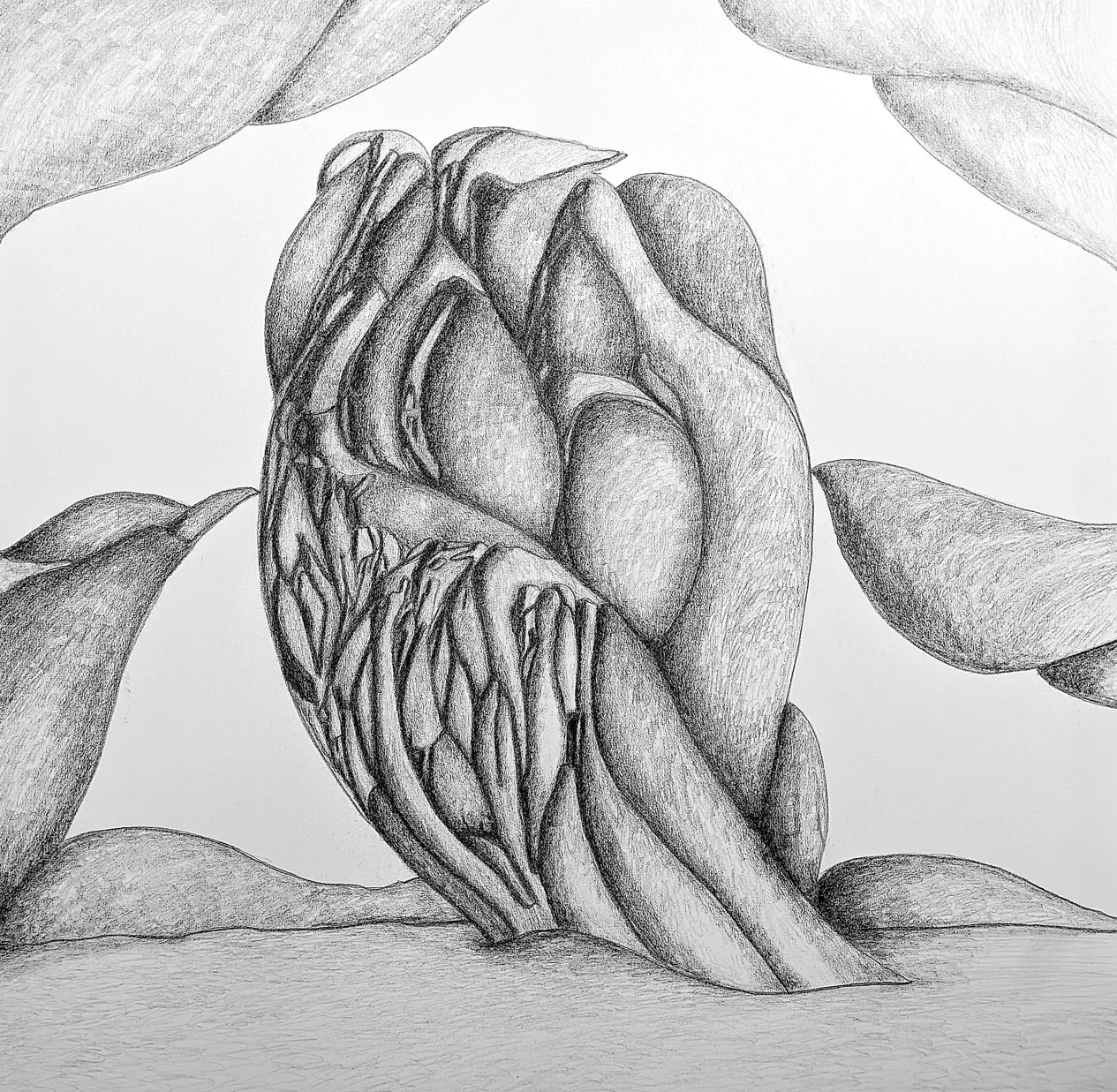 Disegno scultoreo a grafite