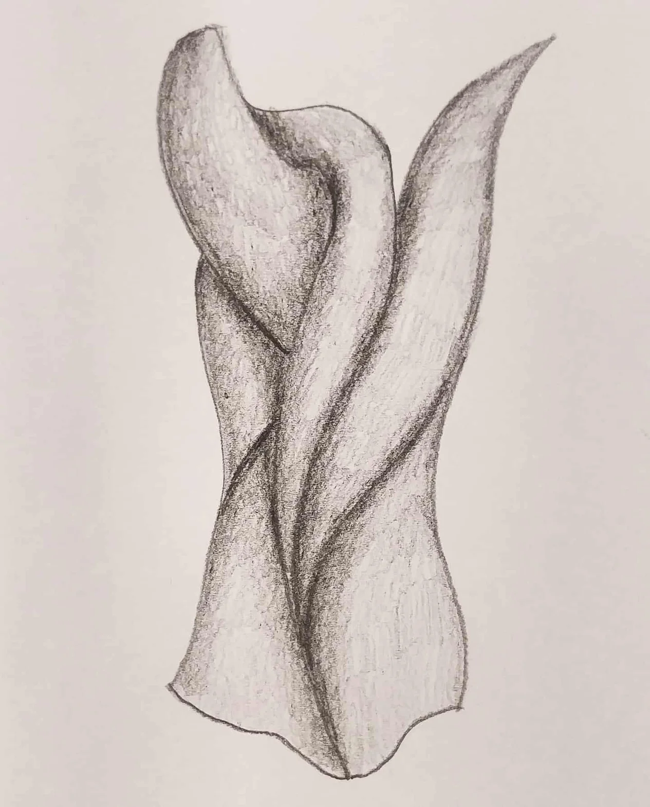 Disegno scultoreo monocromatico I