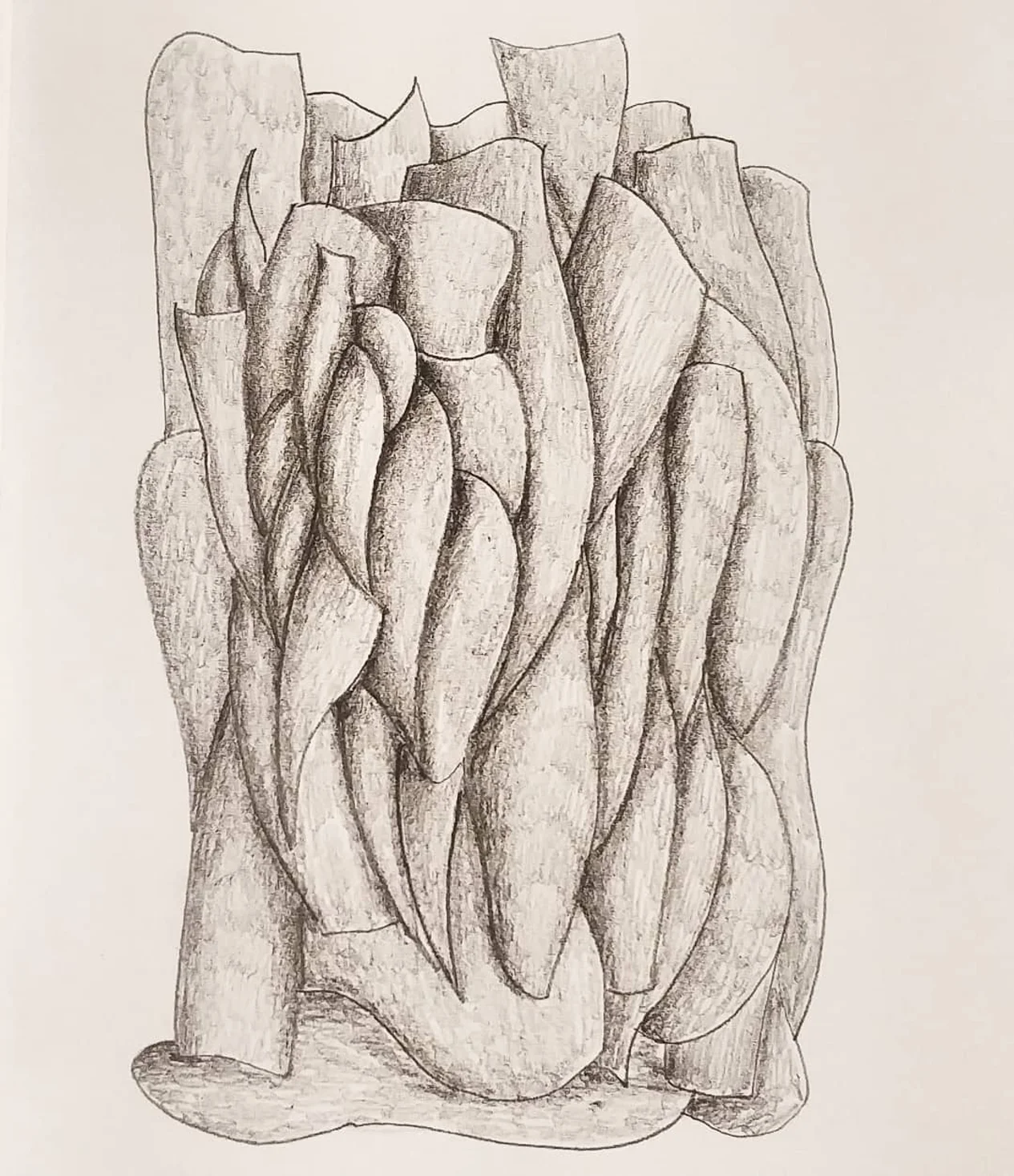 Forma fluida a carboncino I